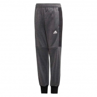 Брюки Adidas YB P PANT WRM thumbnav 1